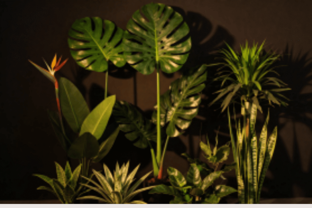 artificial plants