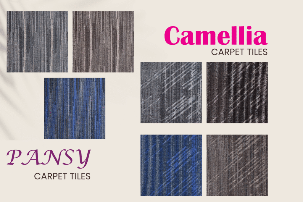 Camellia, Pansy Carpet